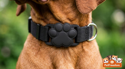 PetFreedom™ Dog Tracker Includes Tracker And Collar